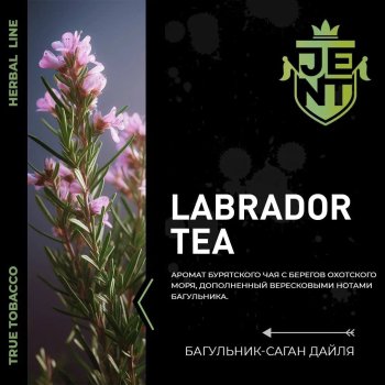 Новый вкус от Jent 
