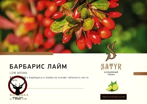 Satyr Barbery-Lime 25гр МРК