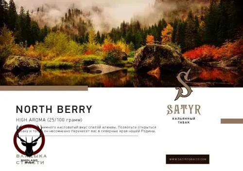 Satyr Northberry 25 гр МРК