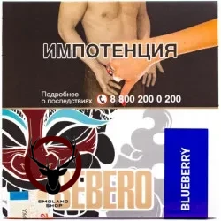 Табак для кальяна Sebero Bilberry 40гр