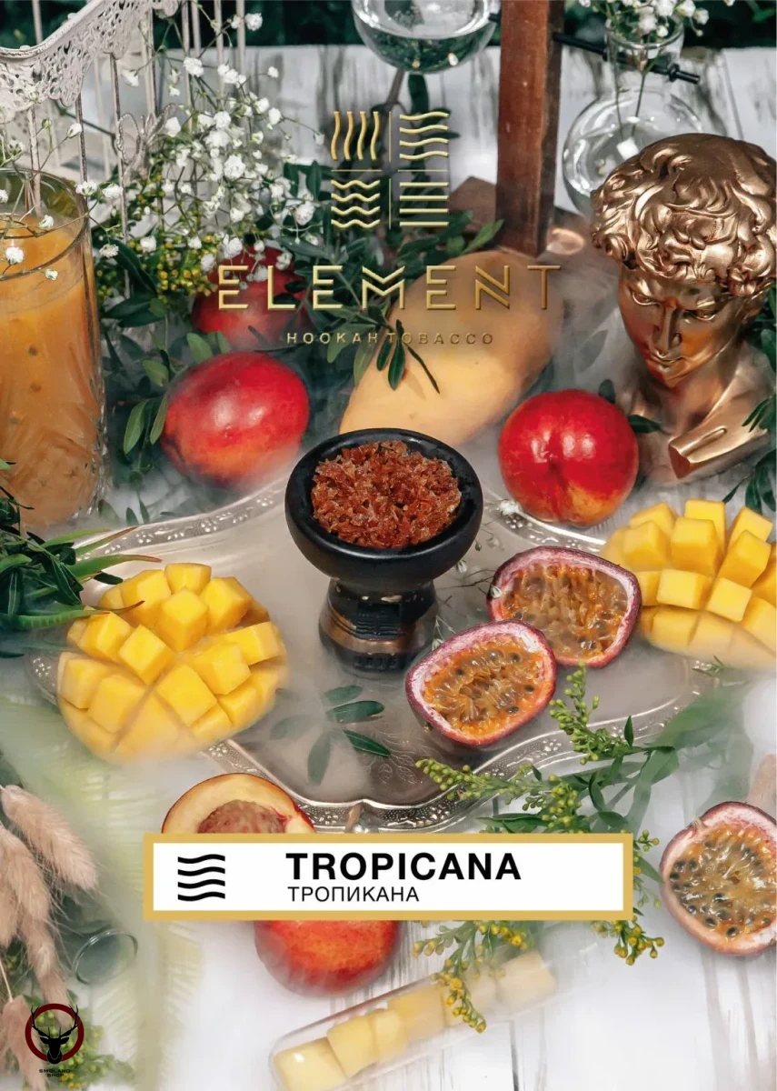 Element ЗЕМЛЯ Tropicana 200гр МРК