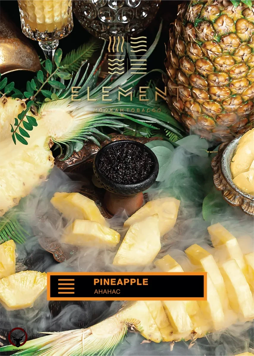 Element ЗЕМЛЯ Pineapple 40гр МРК