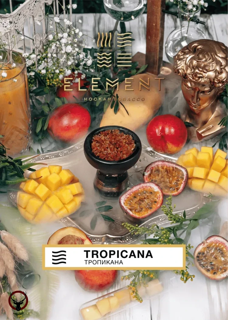 Element ВОЗДУХ Tropicana 40гр МРК