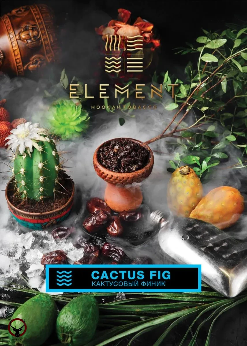 Element ВОДА Cactus Fig 40гр МРК