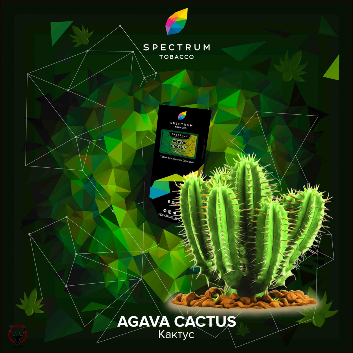 Spectrum HARD Agava cactus 40гр МРК