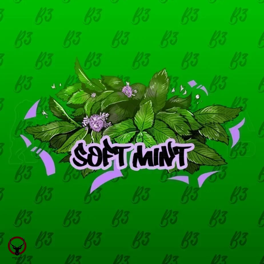 B3 Soft mint 250гр МРК