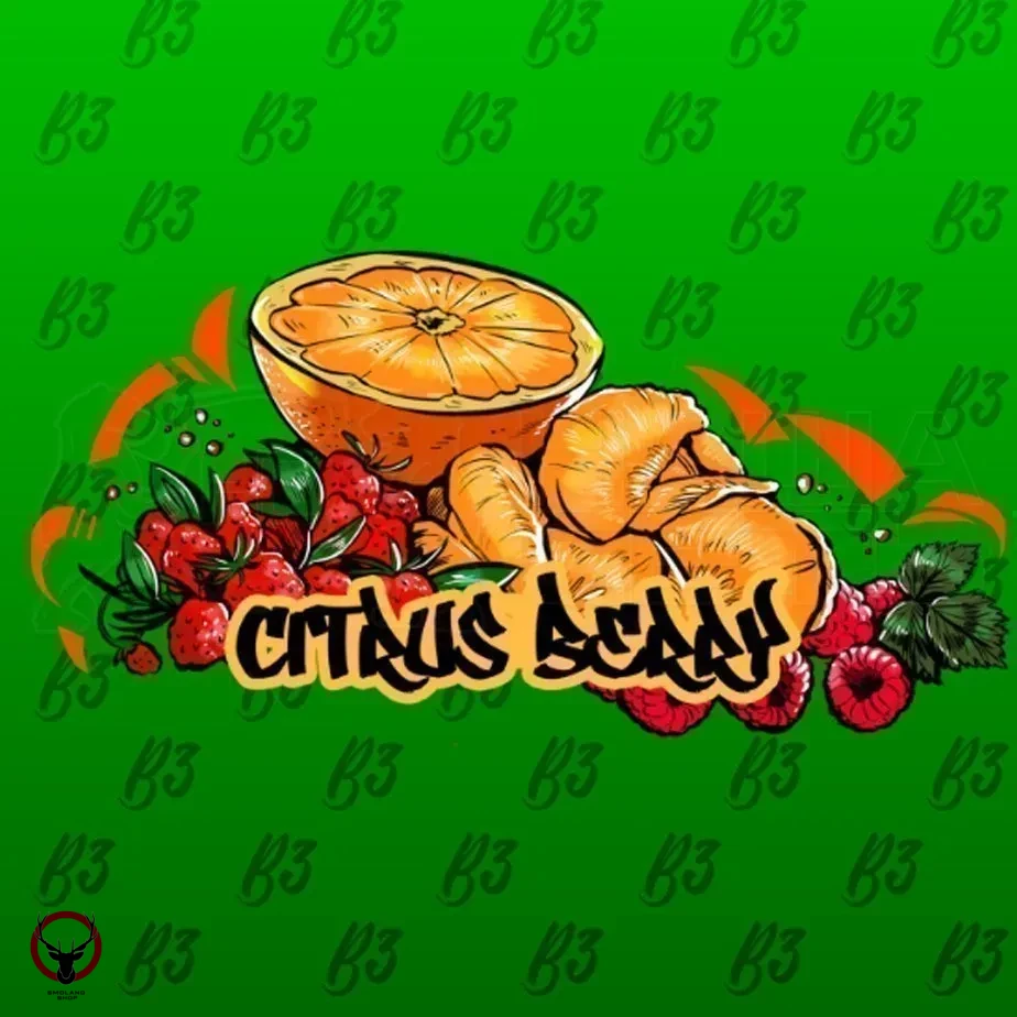 B3 Berry citrus 250гр АТП МРК