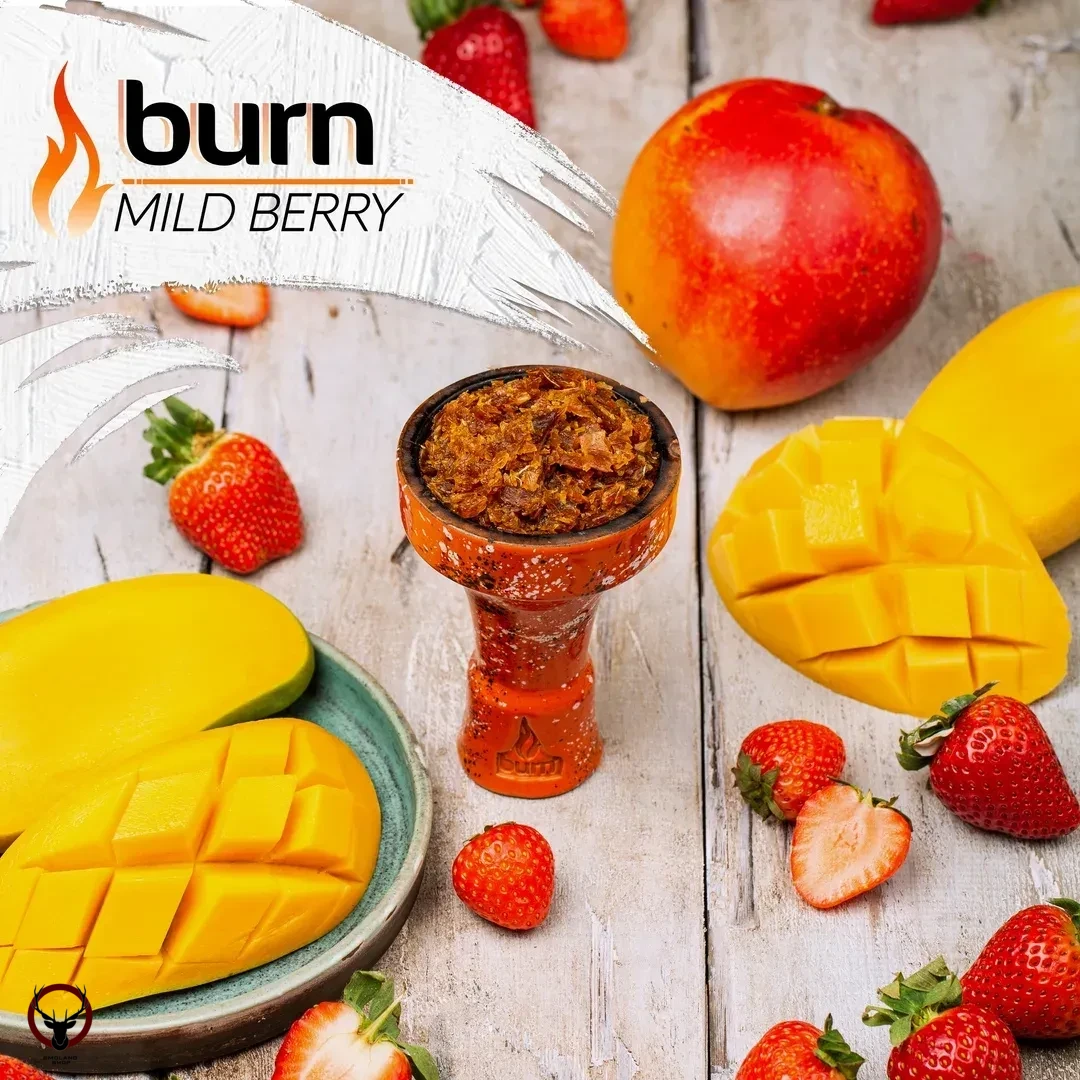 Burn Mild berry 100гр МРК