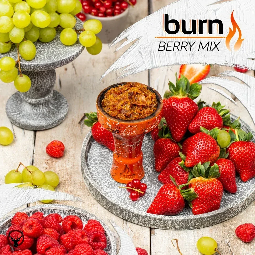 Burn Berry mix 200гр МРК