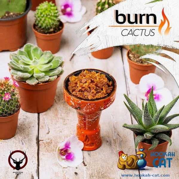 Burn Cactus 200гр МРК