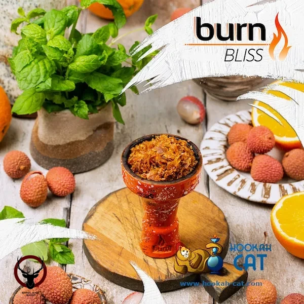 Burn Bliss 25гр МРК