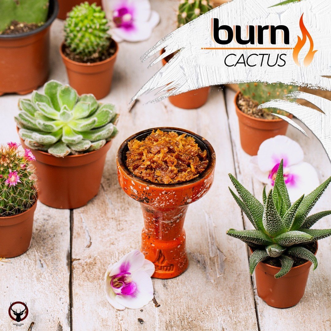 Burn Cactus 25гр МРК