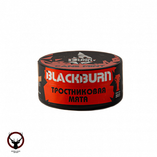 Burn BLACK Cane mint 25гр МРК