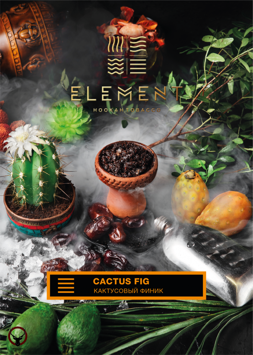 Element ЗЕМЛЯ Cactus fig 25гр МРК