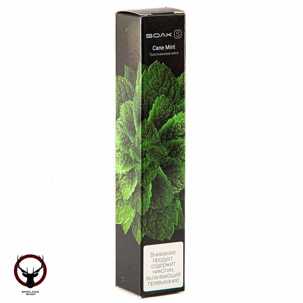 Электронная сигарета SOAK S Cane Mint 2500 затяжек