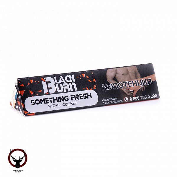 Burn BLACK Something fresh 25гр МРК