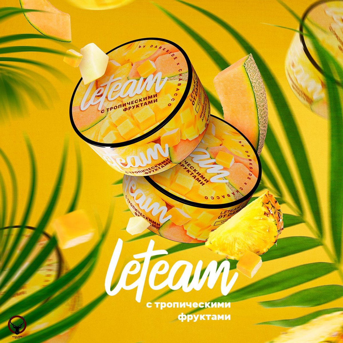 Смесь для кальяна Leteam с тропическими фруктами 25 гр